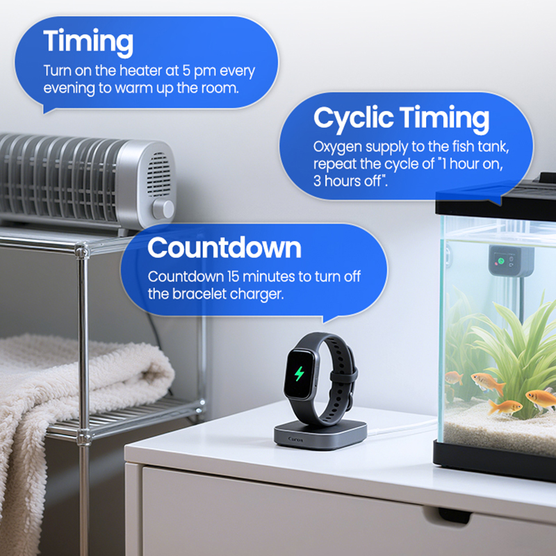 Prise WiFi intelligente BSD60, - Smart Socket With Timer Countdown avis et prix